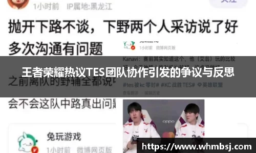 王者荣耀热议TES团队协作引发的争议与反思